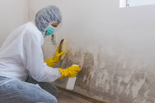 Home Mold Removal in Morgans Point Resort, TX