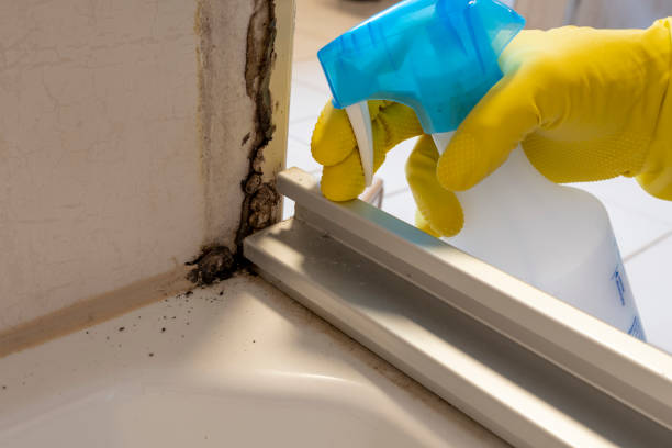 Best Mold Cleaning Services  in Morgans Point Resort, TX