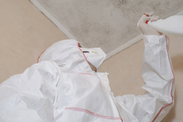 Best Emergency Mold Removal  in Morgans Point Resort, TX