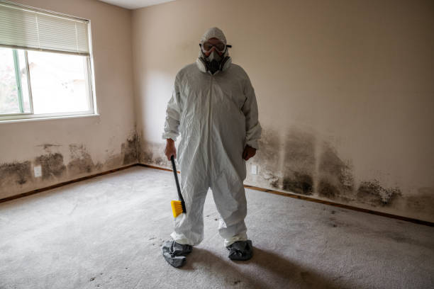 Best Crawl Space Mold Removal  in Morgans Point Resort, TX